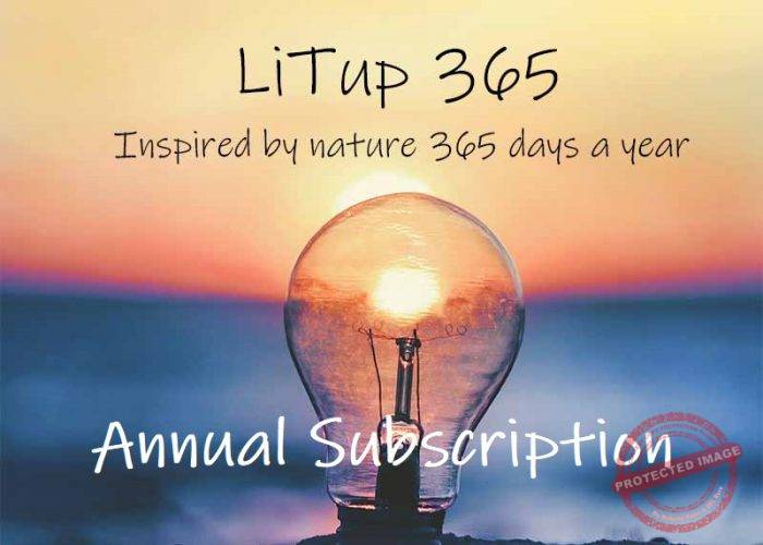 LiTup 365 (Annual Subscription)