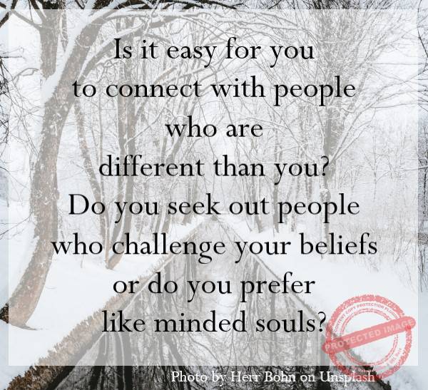 Do you seek out people who challenge your beliefs or do you prefer like minded souls?