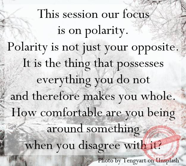 Polarity is not just your opposite. It is the thing that possesses everything you do not and therefore makes you whole.