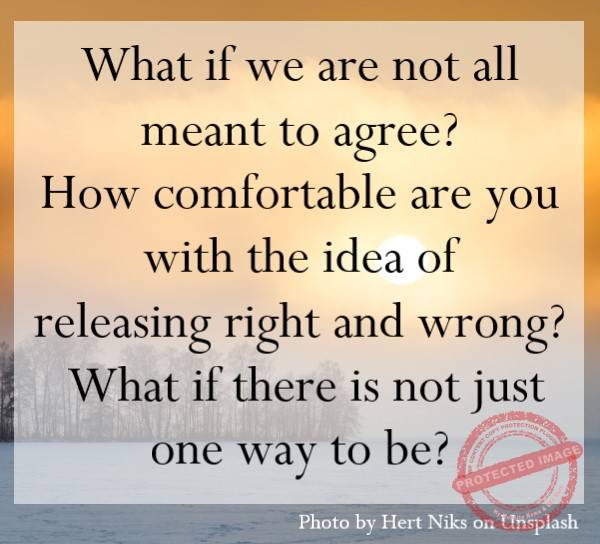 What if we are not all meant to agree?