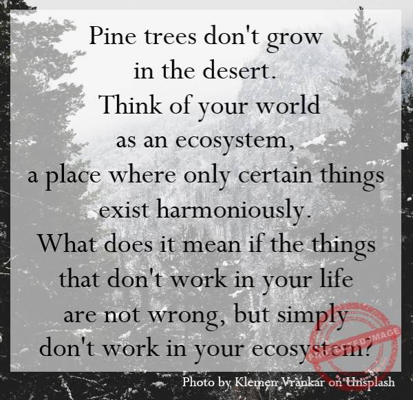 Think of your world as an ecosystem, a place where only certain things exist harmoniously.