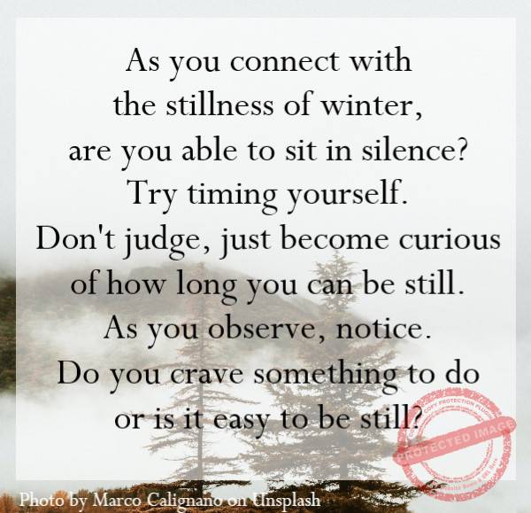 As you connect with the stillness of winter, are you able to sit in silence?