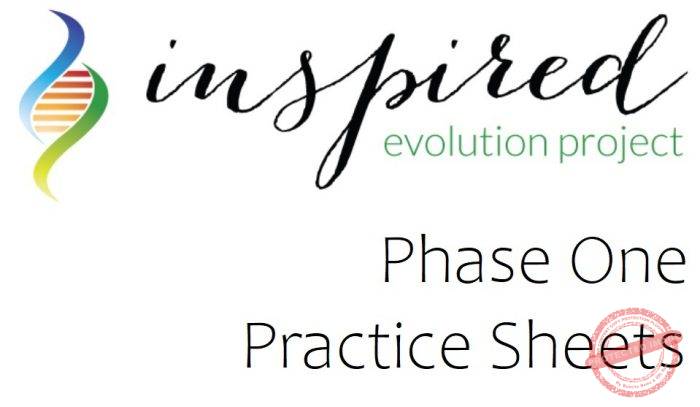 Phase One Practice Sheets