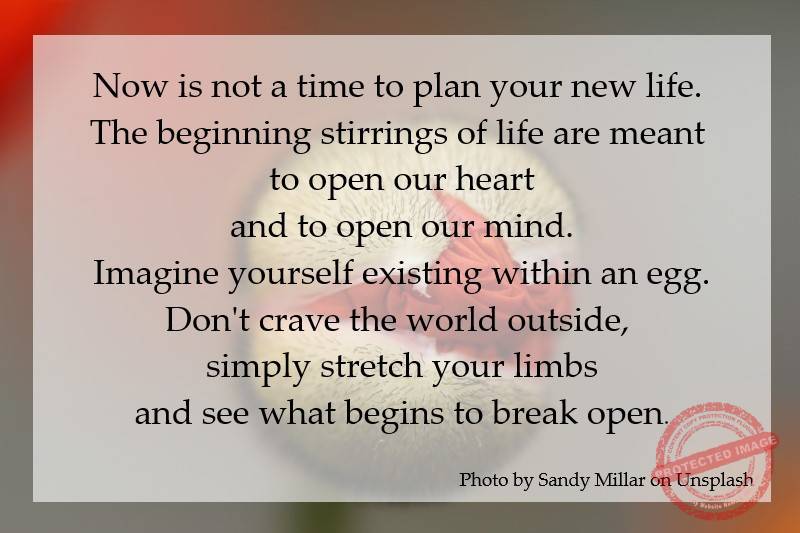 Don't crave the world outside. Simply stretch your limbs and see what begins to break open.