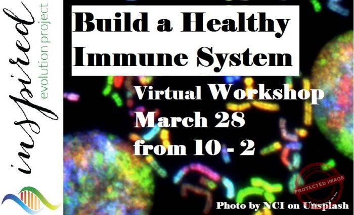 Build a Healthy Immune System 1 of 2