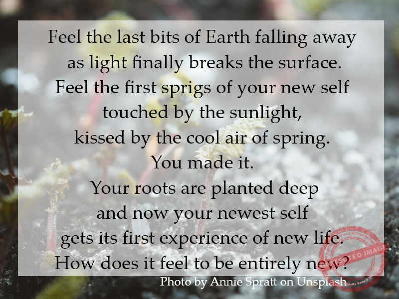 Feel the first sprigs of your new self touched by the sunlight, kissed by the cool air of spring.