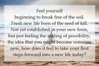 Feel yourself beginning to break free of the soil. Fresh new life born of the seed of fall.