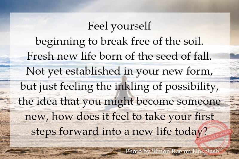 Feel yourself beginning to break free of the soil. Fresh new life born of the seed of fall.
