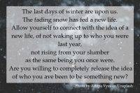 The last days of winter are upon us. The fading snow has fed new life.