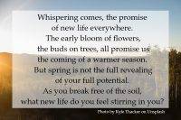 Spring is not the revealing of your full potential.