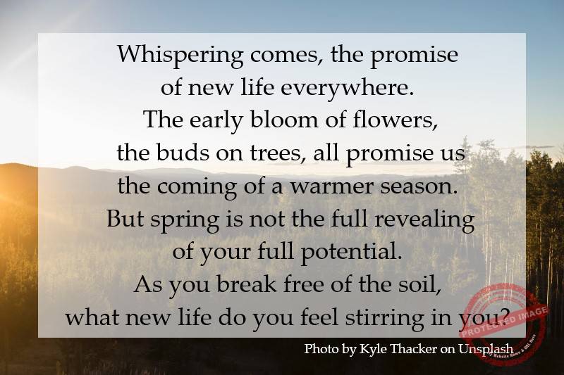 Spring is not the revealing of your full potential.