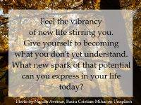 Give yourself to becoming what you don't yet understand.