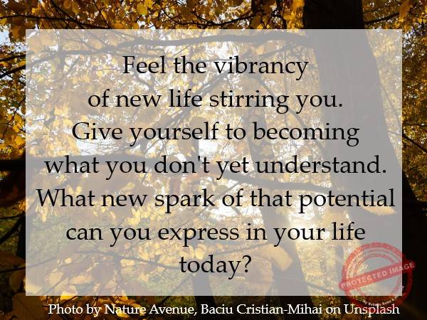 Give yourself to becoming what you don't yet understand.