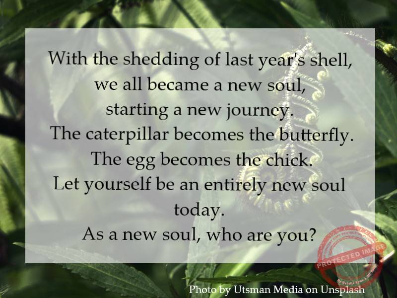 With the shedding of last year's shell, we are all starting a new journey.