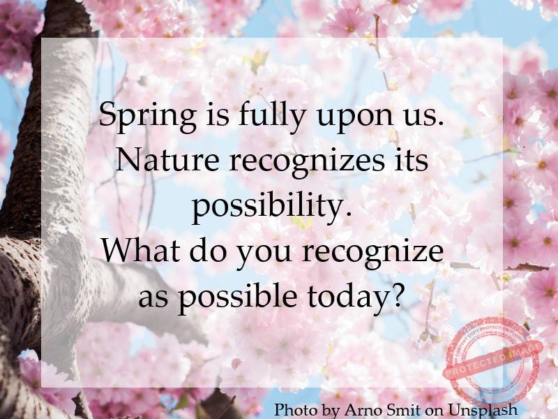 Spring is fully upon us.