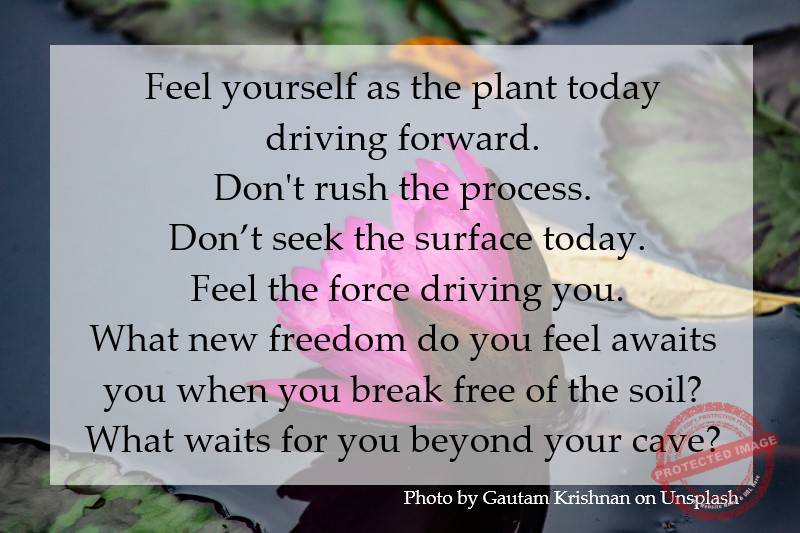 Feel the force driving you.