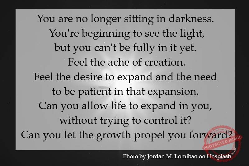 Can you let the growth propel you forward?