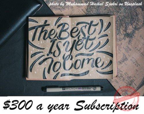 365 Days Annual Subscription