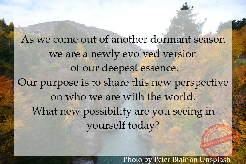 As we come out of another dormant season we are a newly evolved version of our deepest essence.