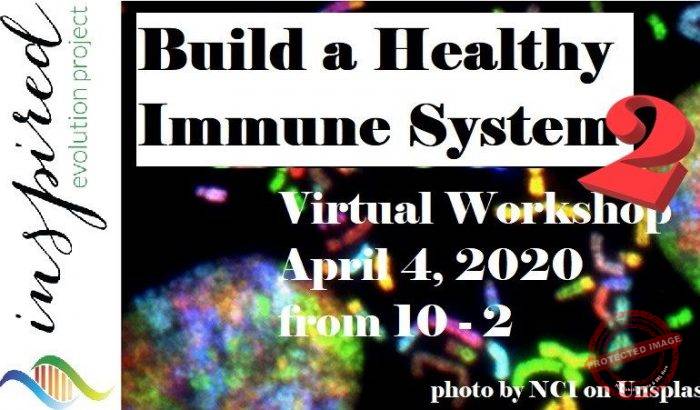 Build a Healthy Immune System 2 of 2