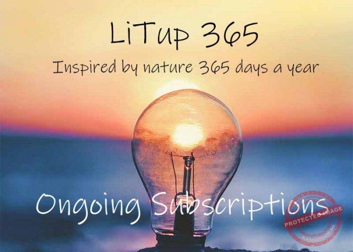 LiTup 365 (Free Trial)