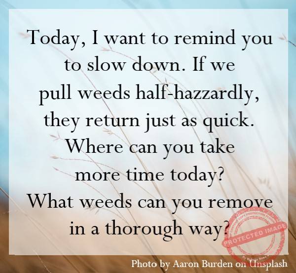 What weeds can you remove thoroughly?