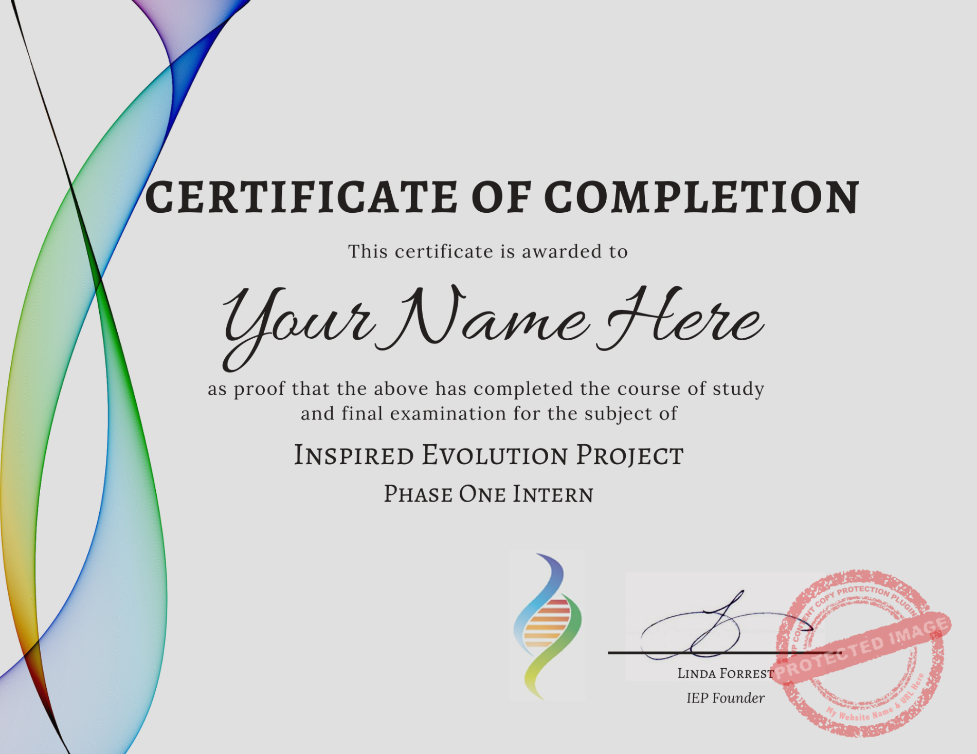 Phase One Intern Certification